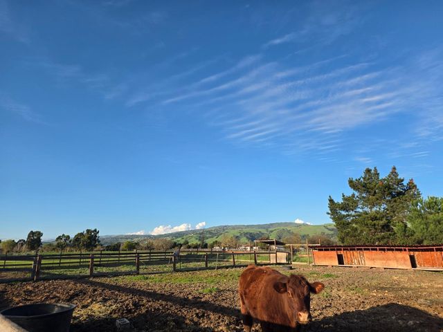 14200 Sycamore Avenue, San Martin, CA 95046