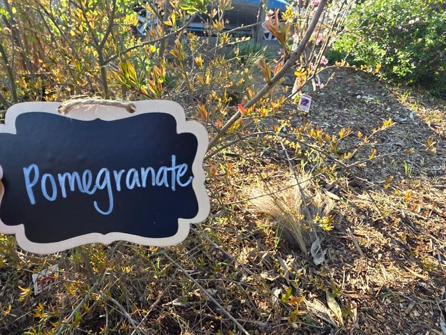 14200 Sycamore Avenue, San Martin, CA 95046