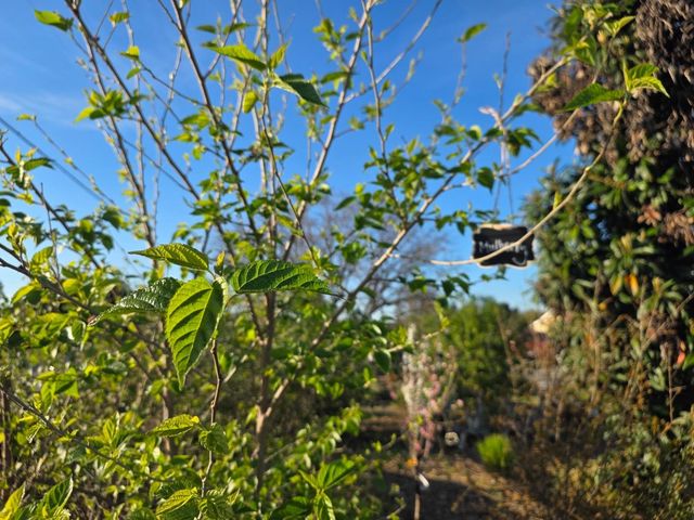 14200 Sycamore Avenue, San Martin, CA 95046