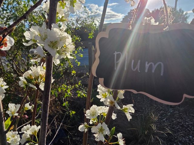 14200 Sycamore Avenue, San Martin, CA 95046