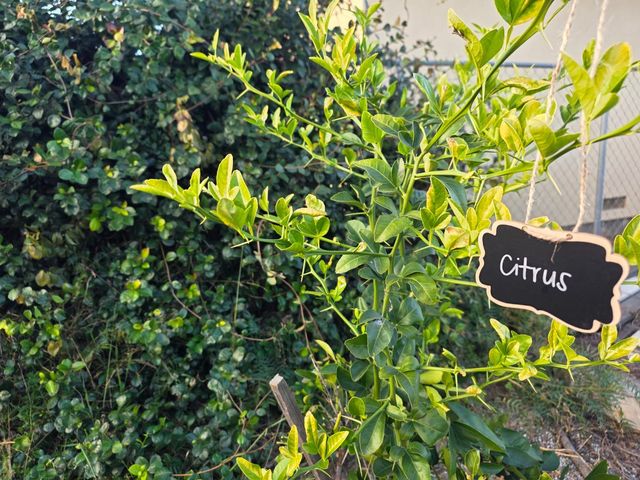 14200 Sycamore Avenue, San Martin, CA 95046