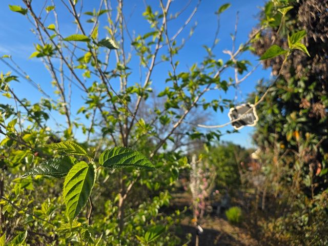 14200 Sycamore Avenue, San Martin, CA 95046