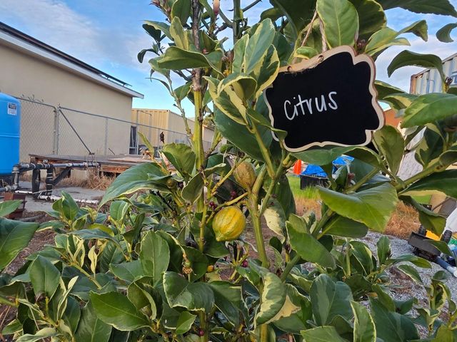 14200 Sycamore Avenue, San Martin, CA 95046