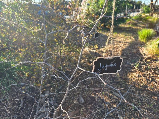 14200 Sycamore Avenue, San Martin, CA 95046