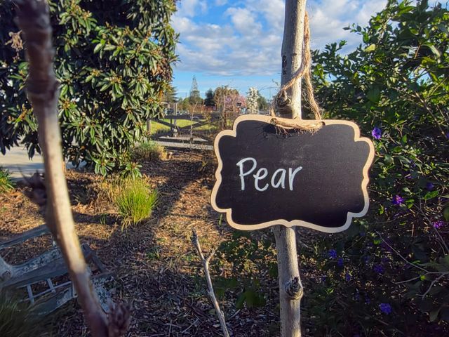 14200 Sycamore Avenue, San Martin, CA 95046