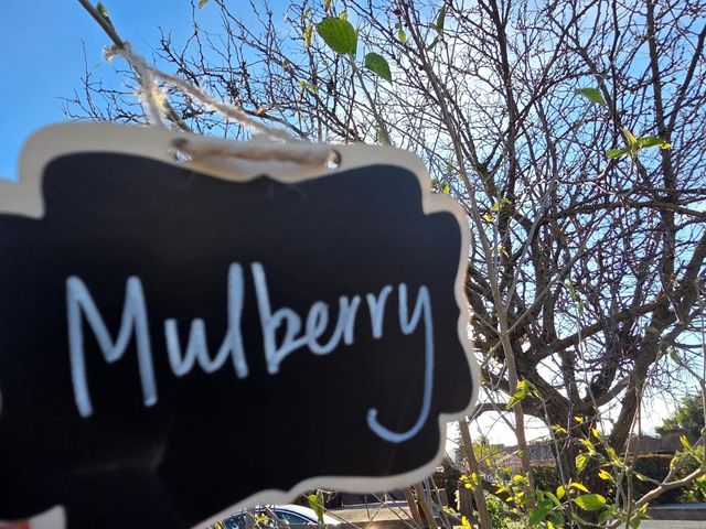 14200 Sycamore Avenue, San Martin, CA 95046