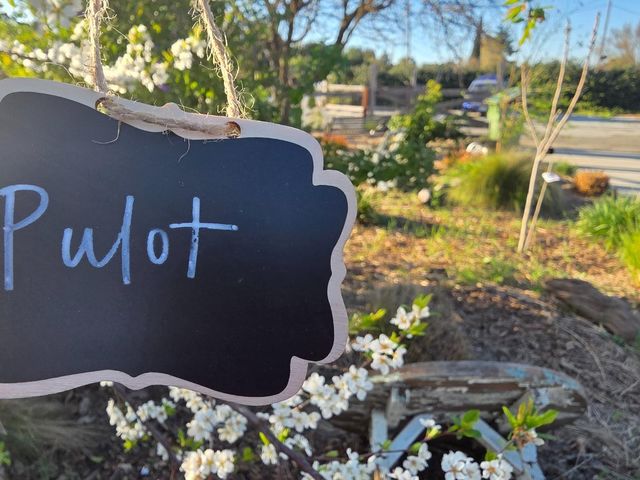 14200 Sycamore Avenue, San Martin, CA 95046