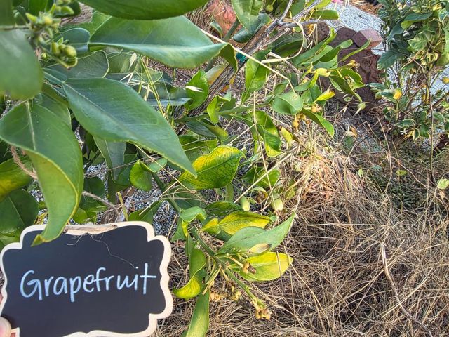 14200 Sycamore Avenue, San Martin, CA 95046