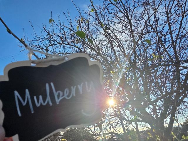 14200 Sycamore Avenue, San Martin, CA 95046