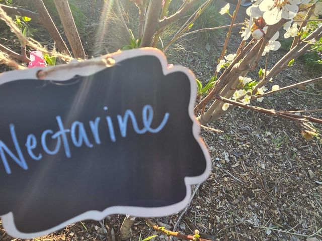 14200 Sycamore Avenue, San Martin, CA 95046