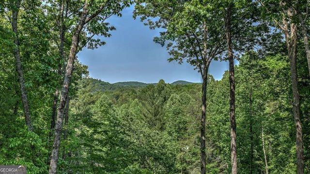 155 Shayla Drive, Blue Ridge, GA 30513