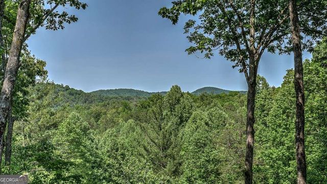 155 Shayla Drive, Blue Ridge, GA 30513