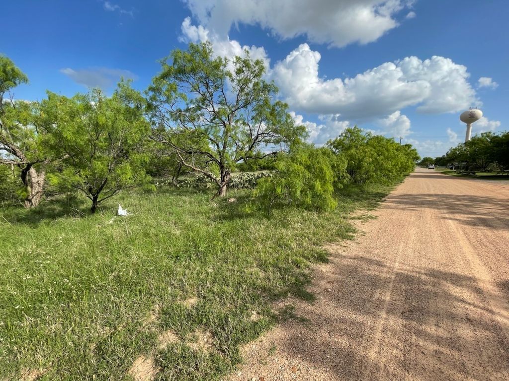 631 Avenue H, Anson, TX 79501
