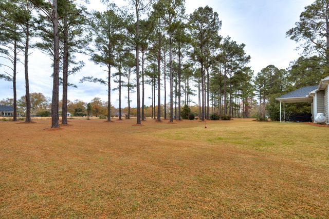 409 Pine Lake Court, Manning, SC 29102