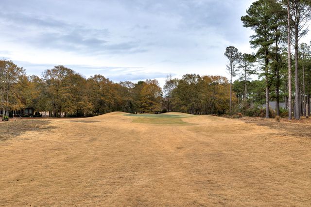 409 Pine Lake Court, Manning, SC 29102