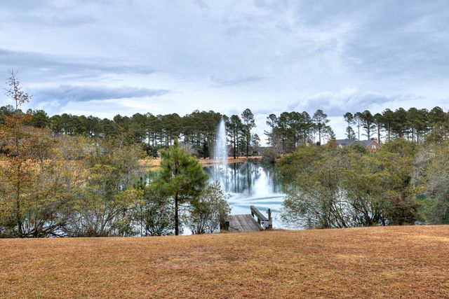 409 Pine Lake Court, Manning, SC 29102