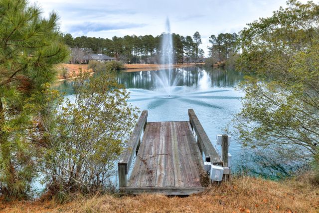 409 Pine Lake Court, Manning, SC 29102