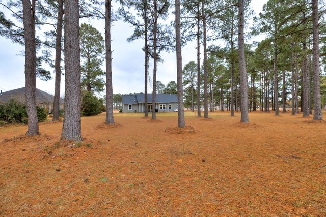 409 Pine Lake Court, Manning, SC 29102