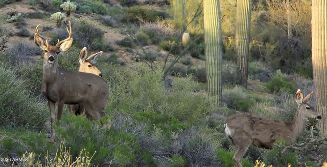 9162 E SKY LINE Drive, Scottsdale, AZ 85262
