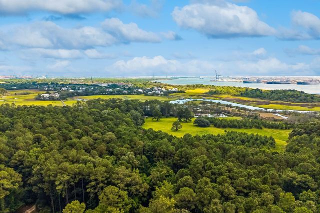 523 Amalie Farms Drive, Charleston, SC 29492