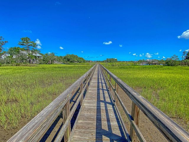 523 Amalie Farms Drive, Charleston, SC 29492