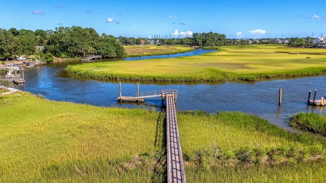 523 Amalie Farms Drive, Charleston, SC 29492