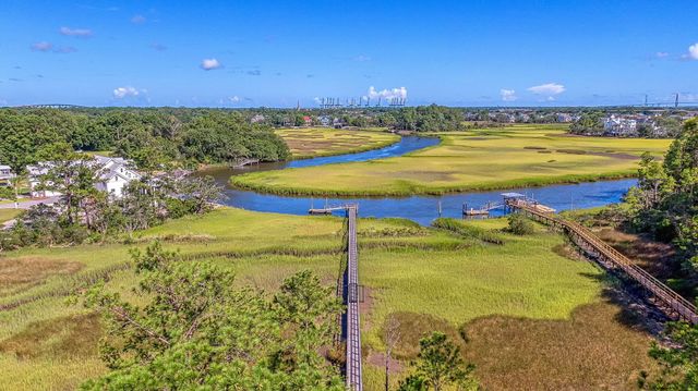 523 Amalie Farms Drive, Charleston, SC 29492