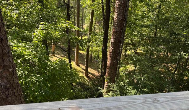 305 Ramble St, Hot Springs, AR 71901