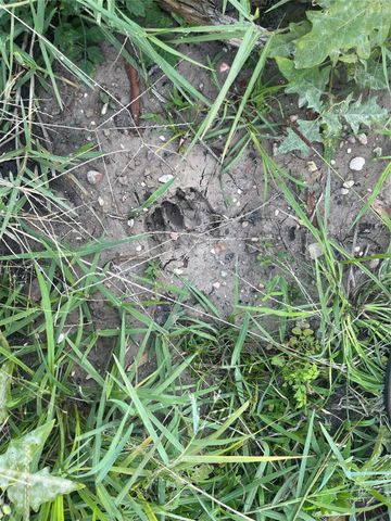 00 Twin Magnolia, Onalaska, TX 77360