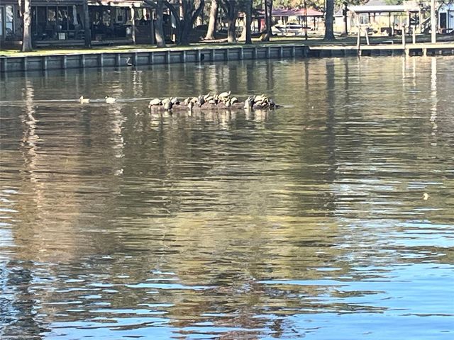 00 Twin Magnolia, Onalaska, TX 77360