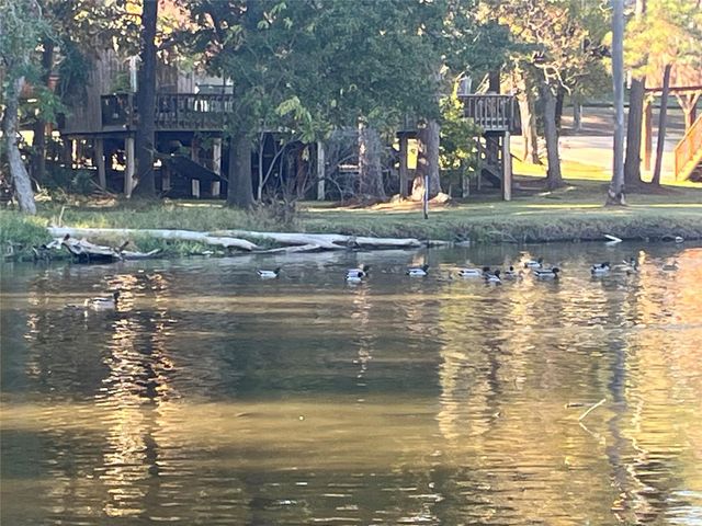 00 Twin Magnolia, Onalaska, TX 77360