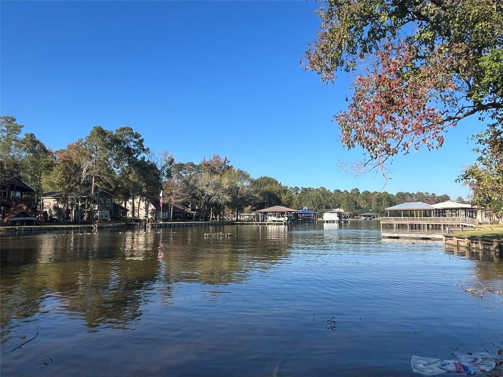 00 Twin Magnolia, Onalaska, TX 77360