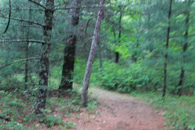 931 E Trout Valley Road, Friendship, WI 53934