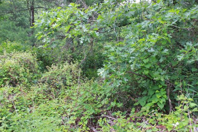 931 E Trout Valley Road, Friendship, WI 53934