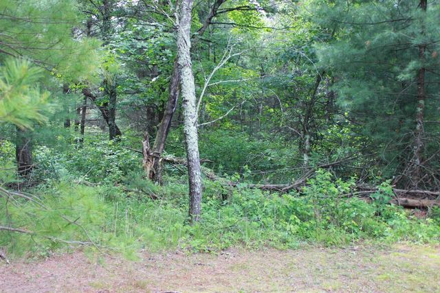 931 E Trout Valley Road, Friendship, WI 53934