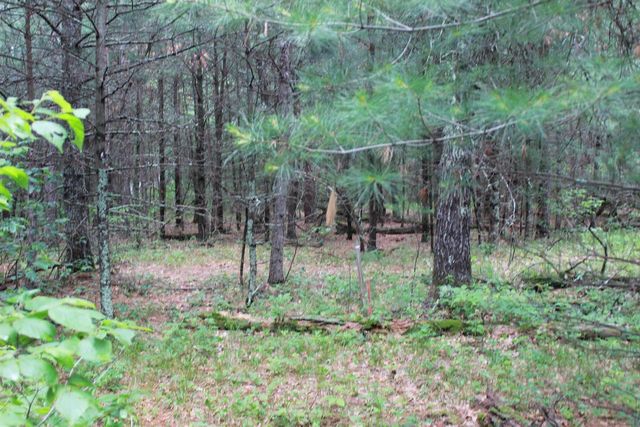 931 E Trout Valley Road, Friendship, WI 53934