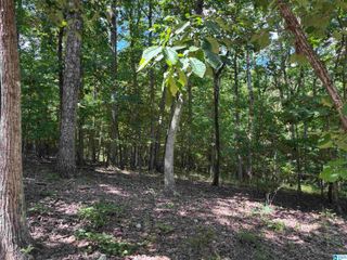 0 ALLISON LANE, Trussville, AL 35173