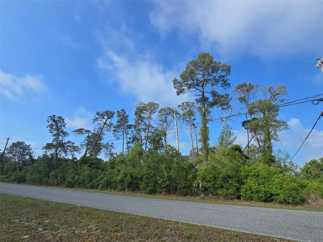 10044 NODDY TERN ROAD, Weeki Wachee, FL 34613