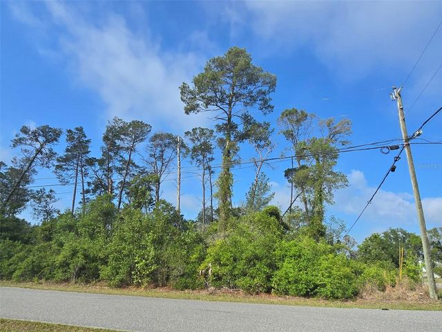 10044 NODDY TERN ROAD, Weeki Wachee, FL 34613
