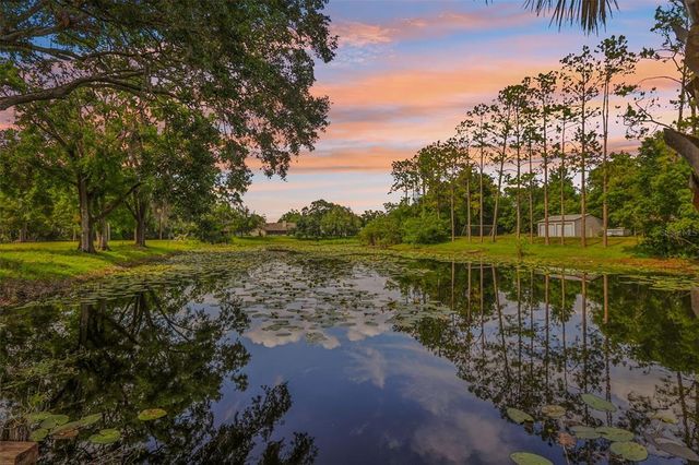 1226 DEBUEL ROAD, Lutz, FL 33549