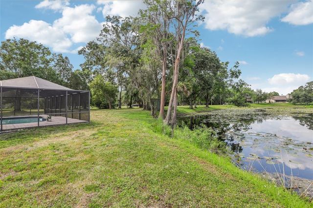 1226 DEBUEL ROAD, Lutz, FL 33549
