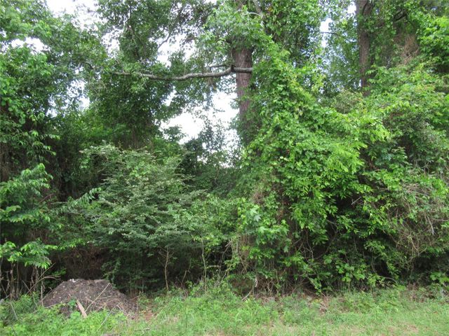 184 Hickory Drive, Onalaska, TX 77360