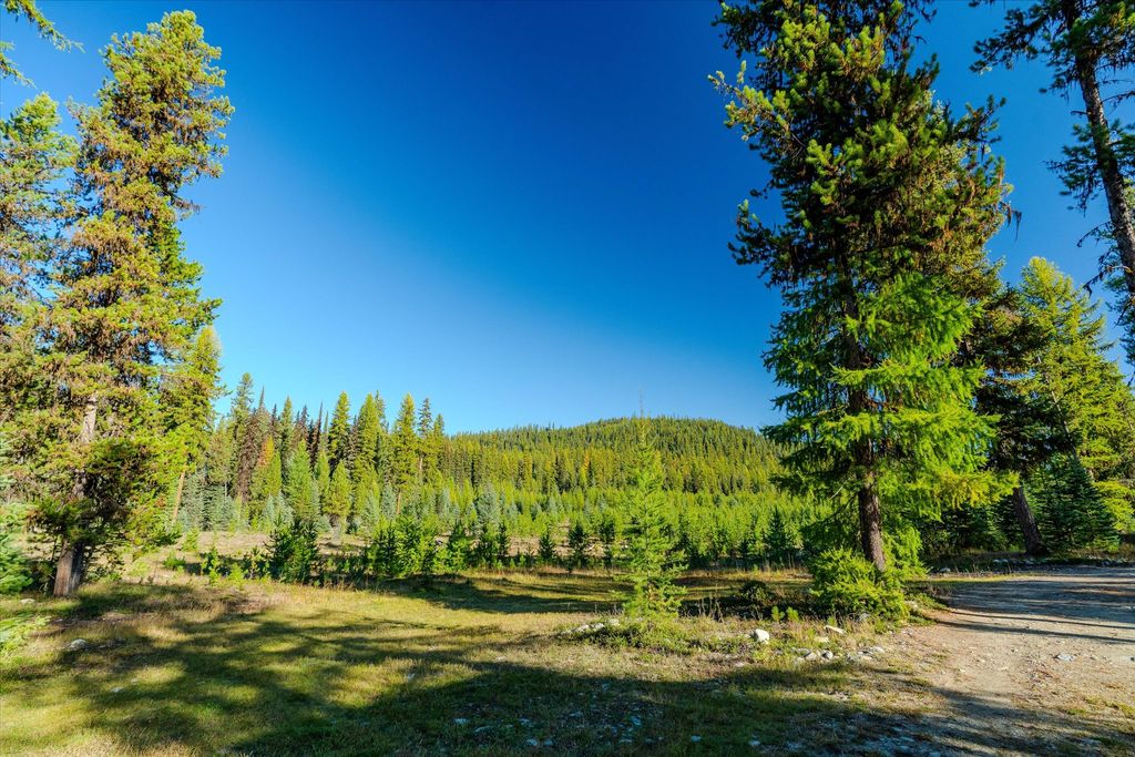 355 Upper Ford Cut Off Road, Yaak, MT 59935 photo 101