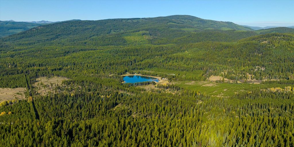 355 Upper Ford Cut Off Road, Yaak, MT 59935 photo 120