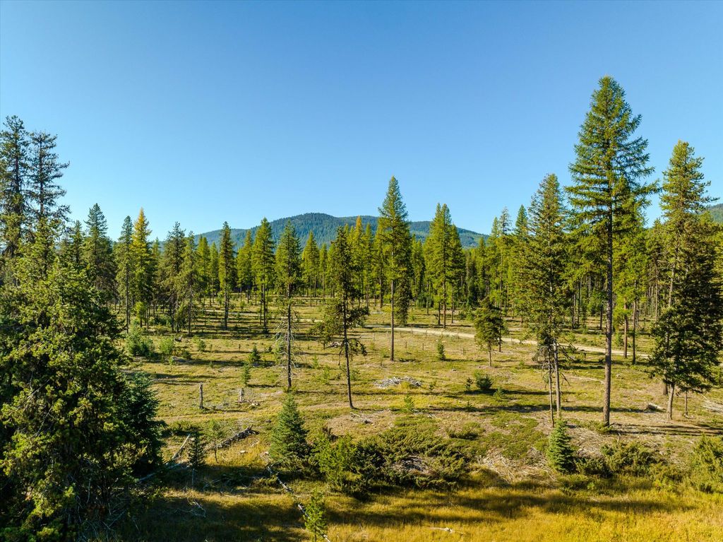 355 Upper Ford Cut Off Road, Yaak, MT 59935 photo 130