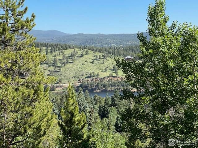 8 Valley View Dr, Nederland, CO 80466