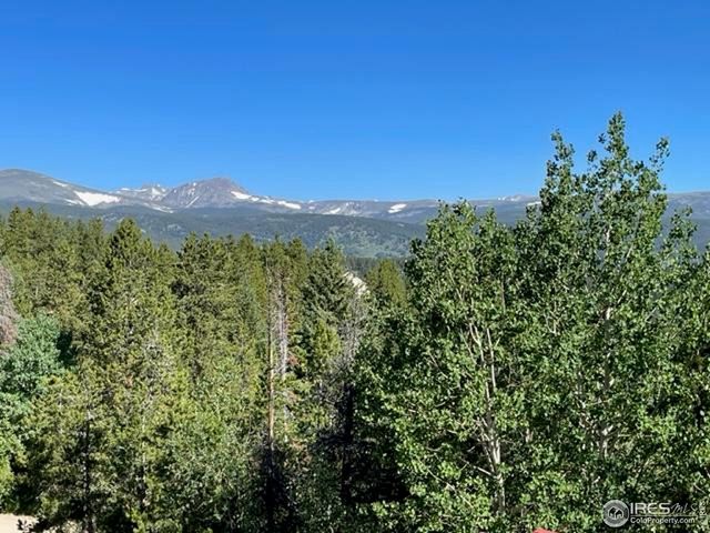 8 Valley View Dr, Nederland, CO 80466