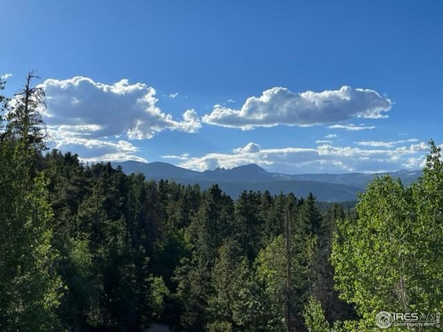 8 Valley View Dr, Nederland, CO 80466