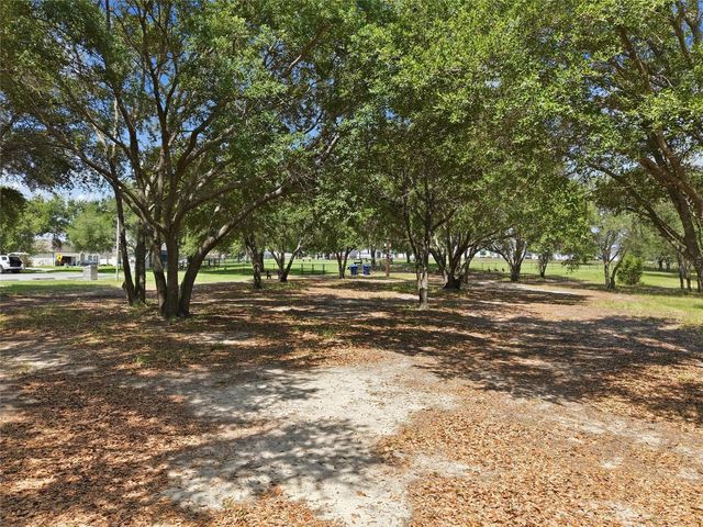 516 CADIZ DRIVE, Groveland, FL 34736
