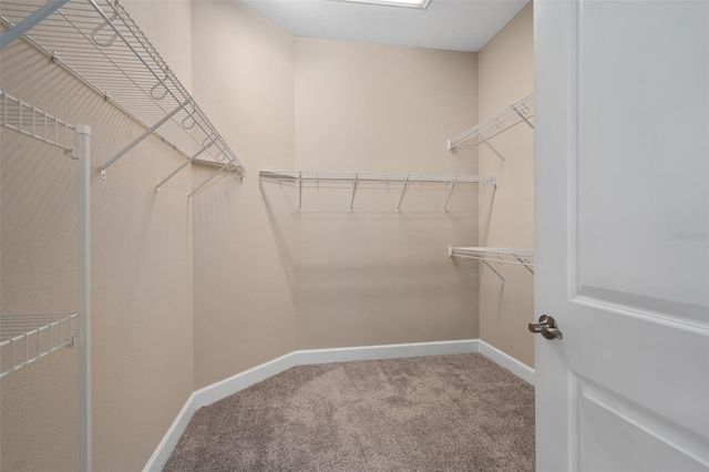 1222 ZEEK RIDGE STREET, Clermont, FL 34715